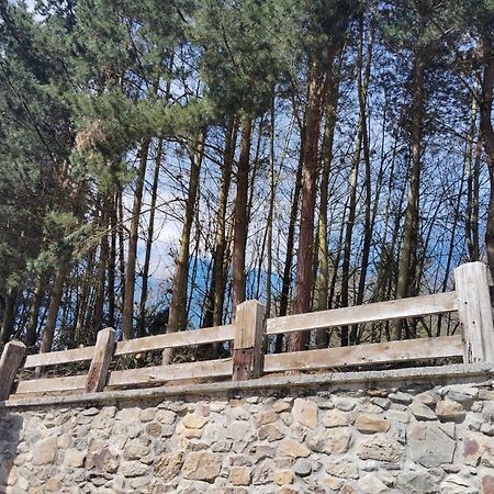 Hotel El Nuevo Semellon Aceptamos Mascotas Tineo Esterno foto