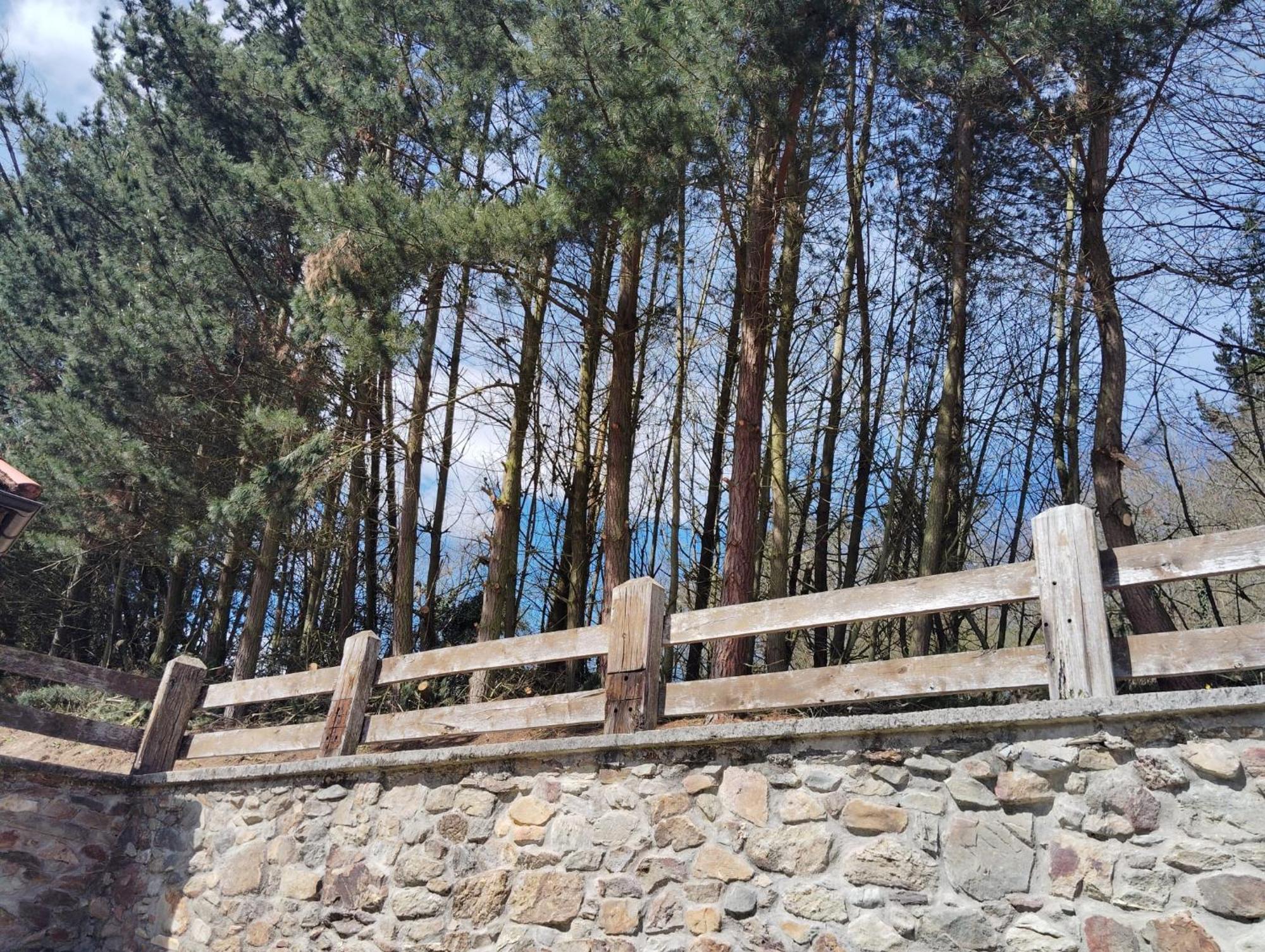 Hotel El Nuevo Semellon Aceptamos Mascotas Tineo Esterno foto