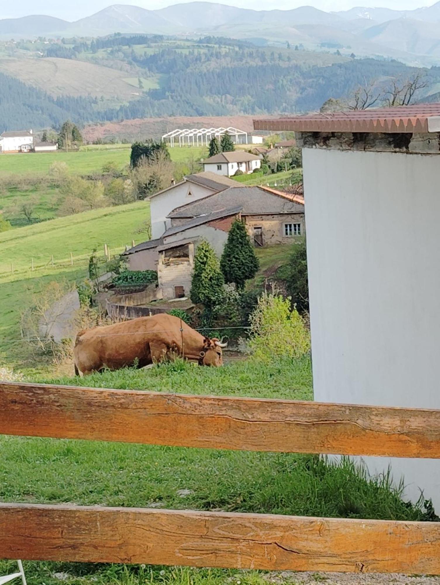 Hotel El Nuevo Semellon Aceptamos Mascotas Tineo Esterno foto